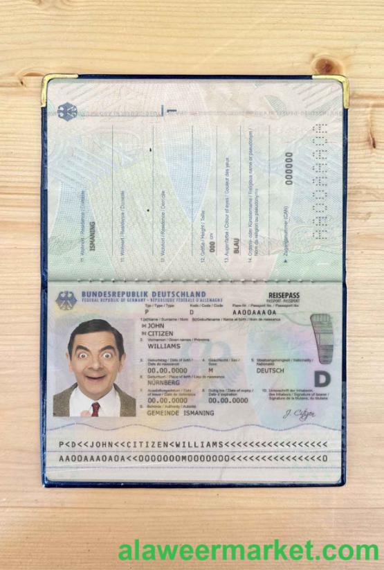 Germany passport (2017-present) photo look